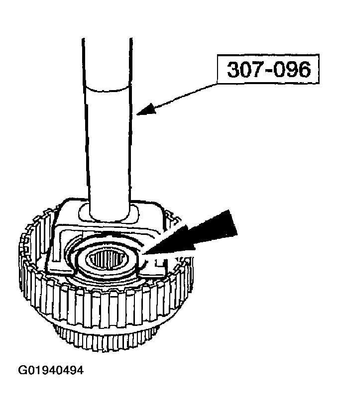 G01940494