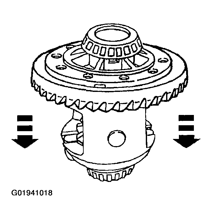 G01941018