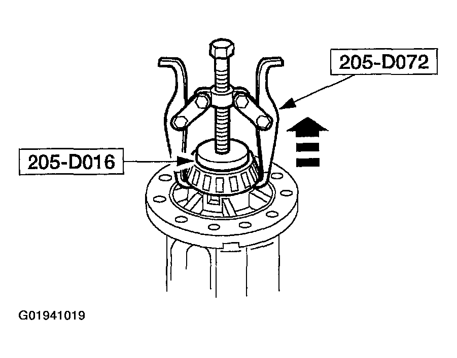G01941019