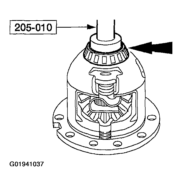 G01941037