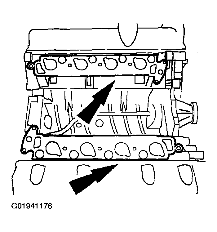 G01941176