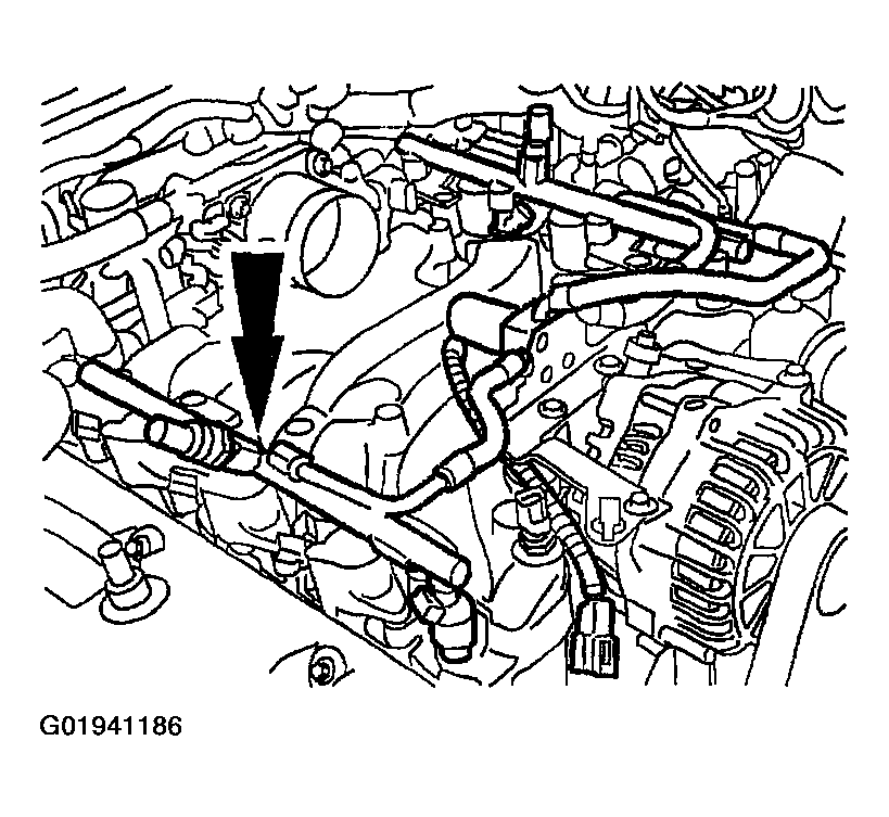 G01941186