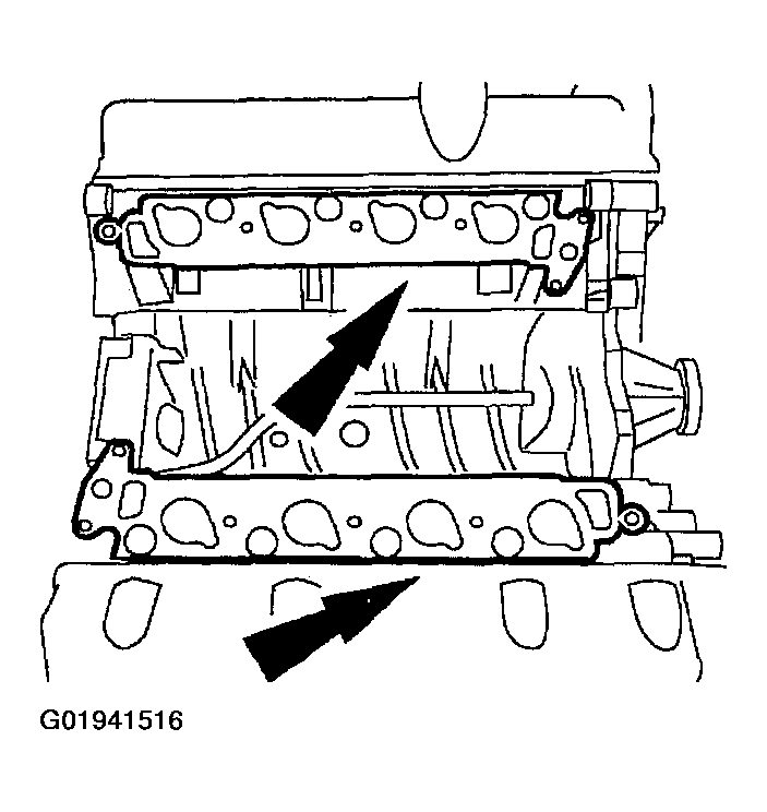 G01941516