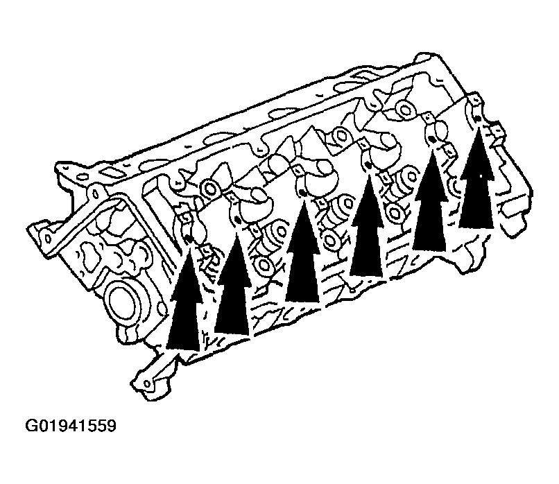G01941559