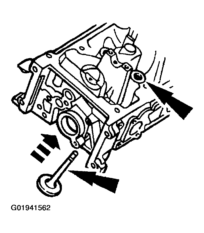 G01941562
