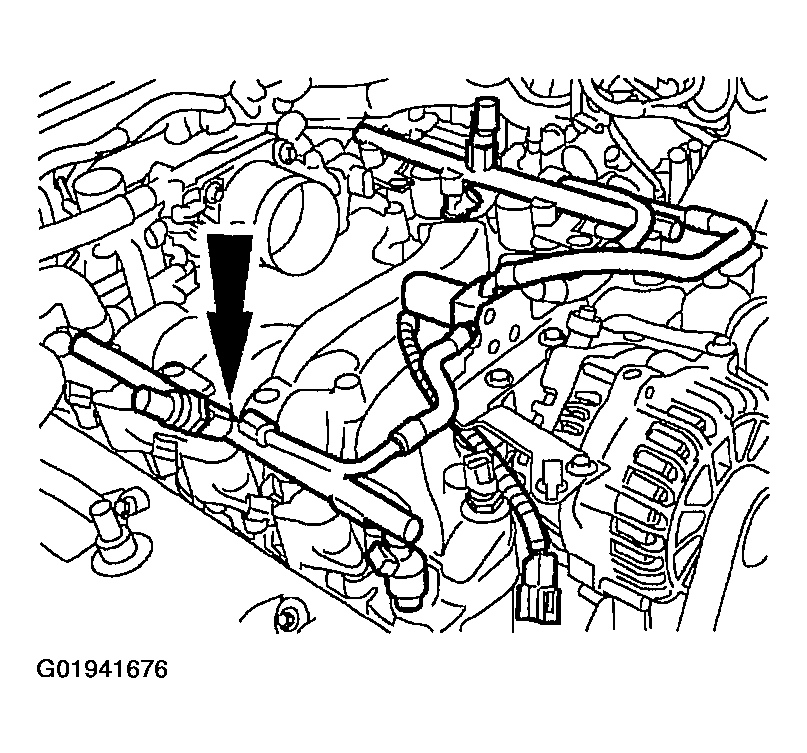 G01941676