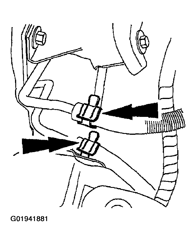 G01941881