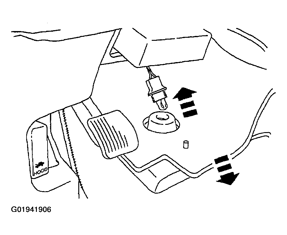 G01941906