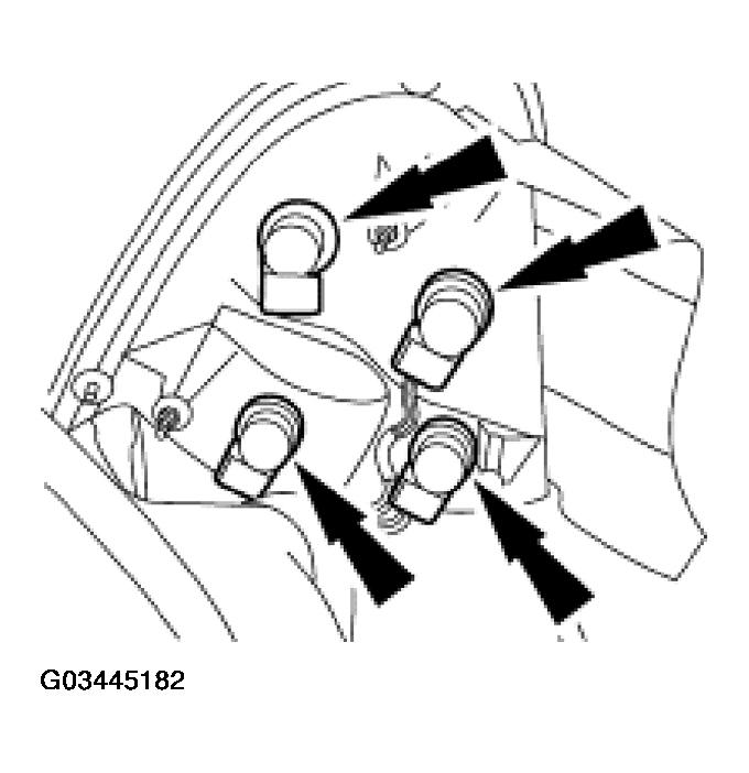 G03445182