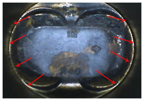 G10955360