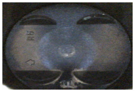 G10955361