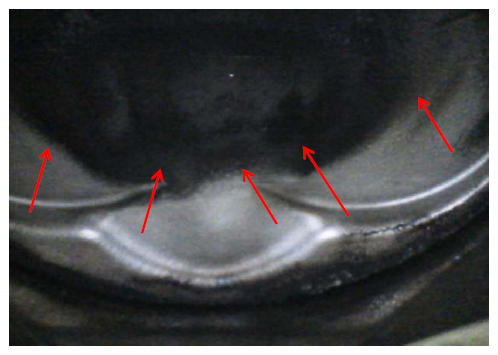 G10955362