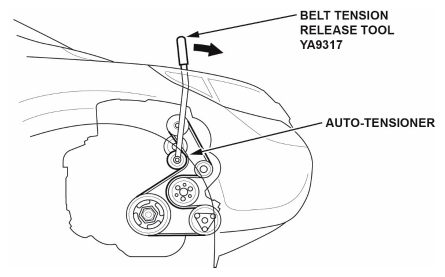 G11664748
