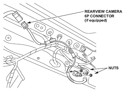 G11837683