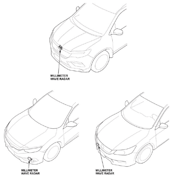 G13019548