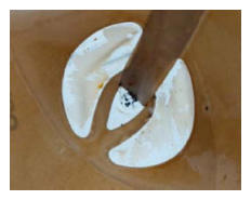 G16064358