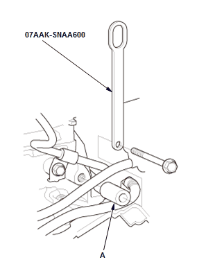 GHH47973