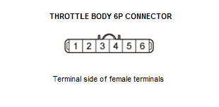 GHH48774