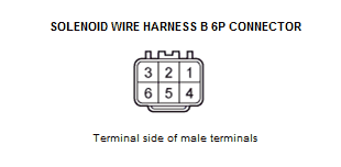GHH48937
