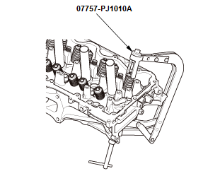 GHH49718