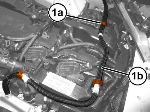 GC0193146