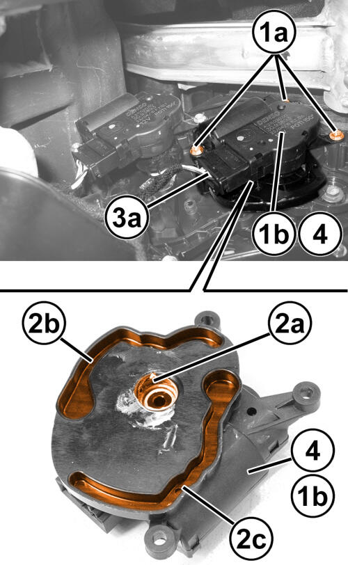 GC0193681