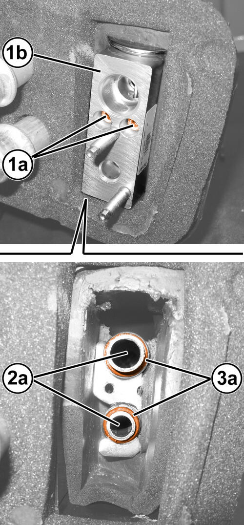 GC0194305