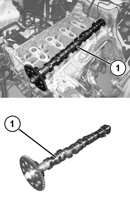 GC0194661