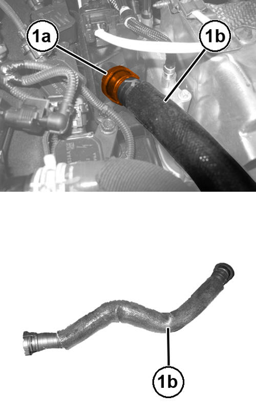 GC0194867