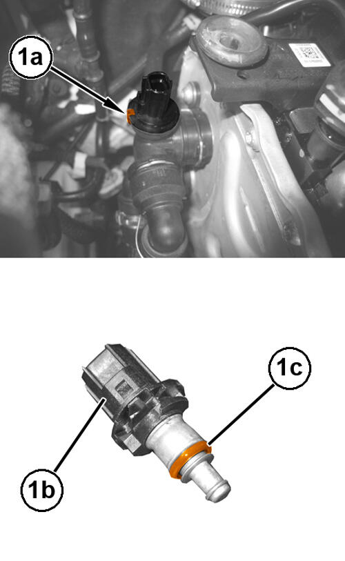 GC0194921