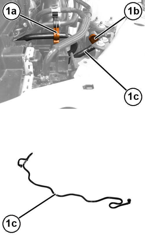 GC0195205