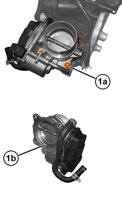 GC0195357
