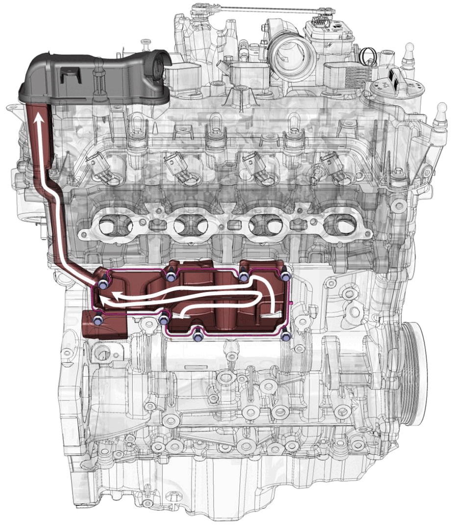 GC0196282