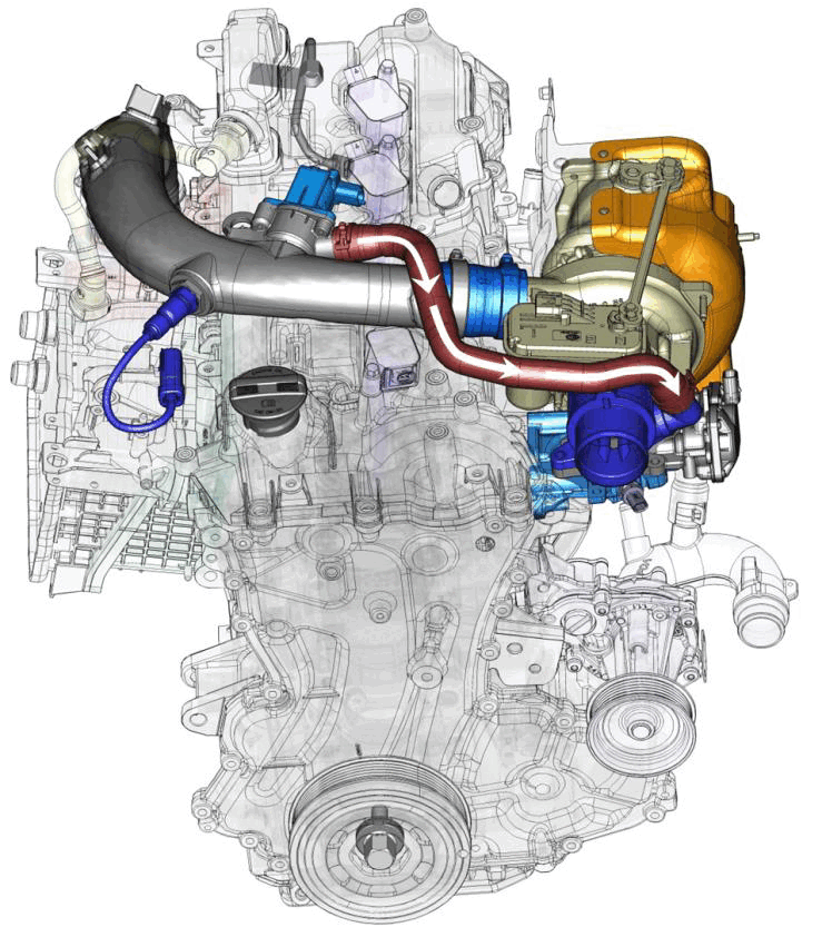 GC0196313