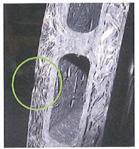 GC0196987