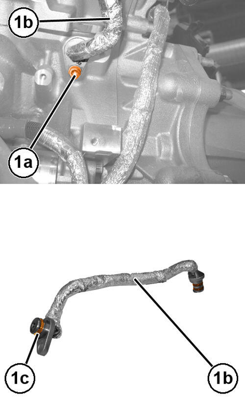GC0197494