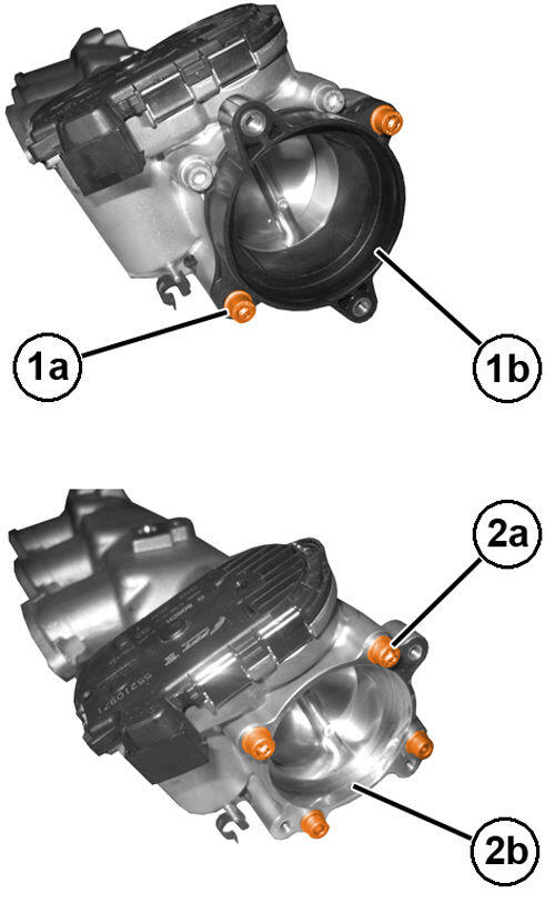 GC0197705