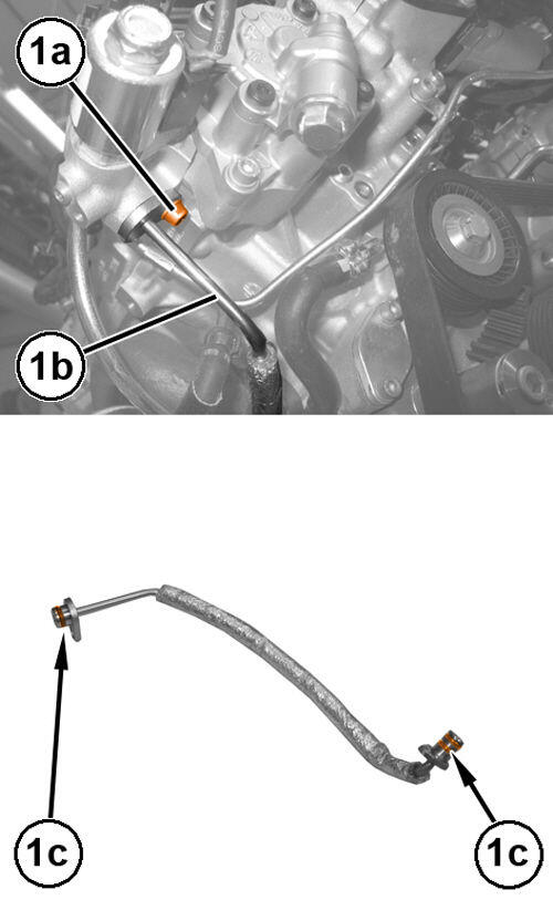 GC0198081