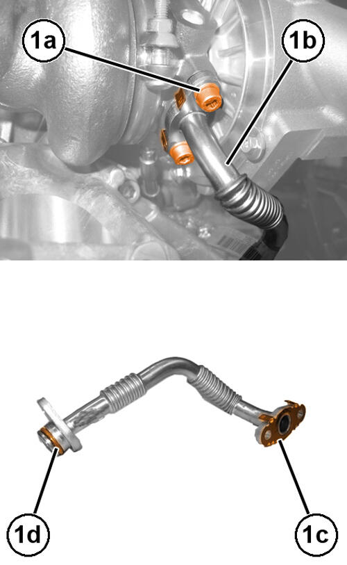 GC0207798